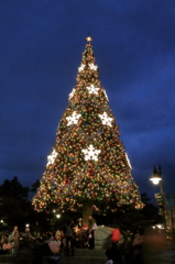 X'mas Tree@TDS