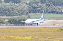 陽炎に溶けて