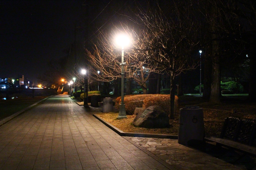 夜の岩手公園前