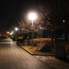 夜の岩手公園前