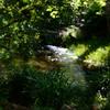 三島市立公園　楽寿園