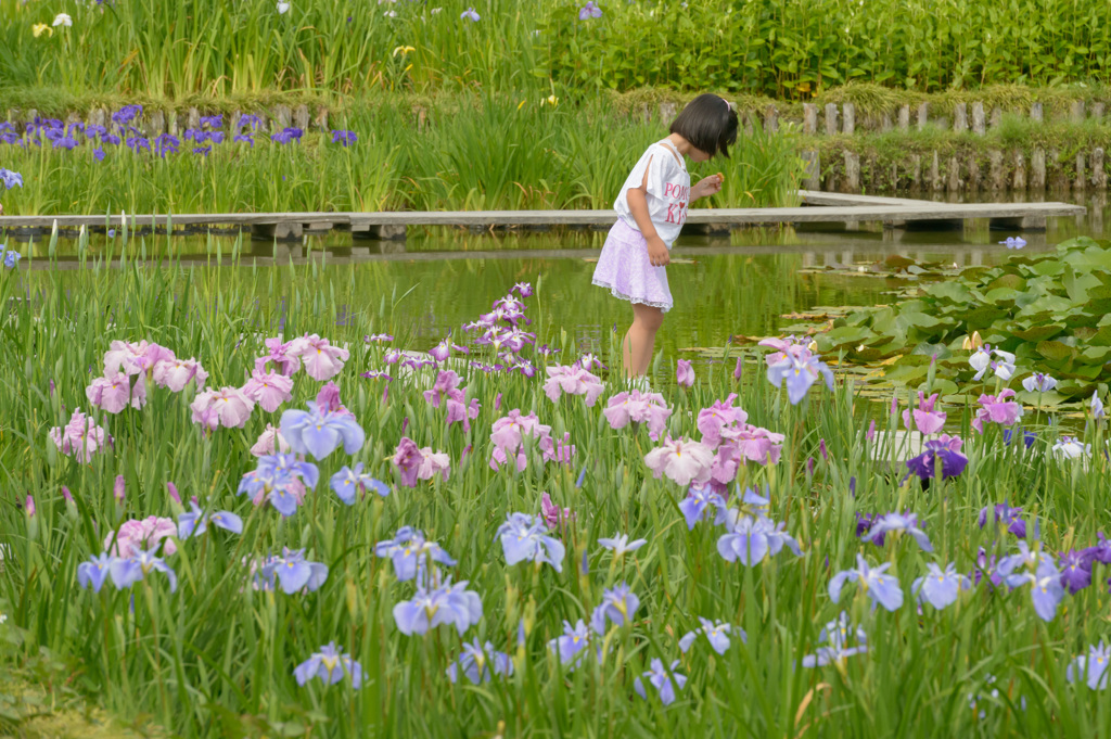 加茂荘花鳥園　少女