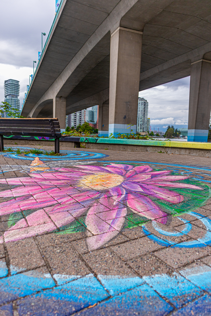 flower on the road