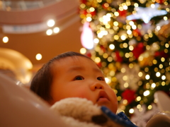 クリスマスツリー