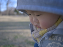冬の公園