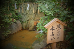 神戸ぶらり観光_生田神社編③