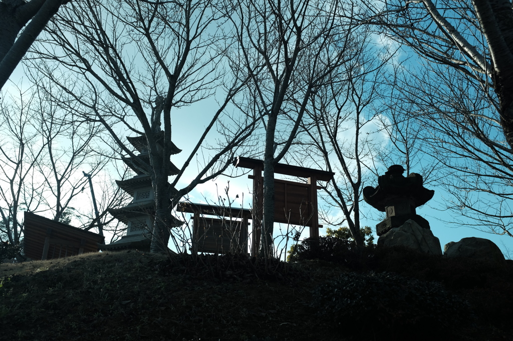 仙石庭園_その3