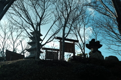 仙石庭園_その3