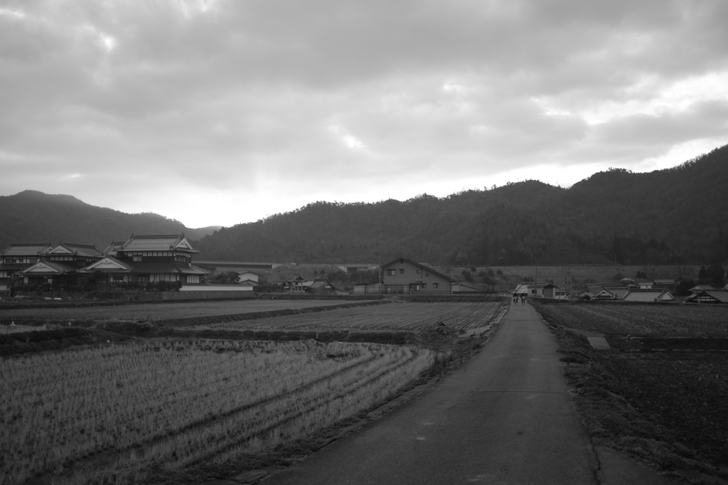 ある朝の風景_その4