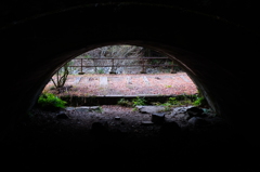 廃線跡_その5_小さなスペースから