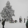 雪山のにぎわい