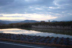 ある朝の風景_その2