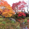 京都・宝厳寺