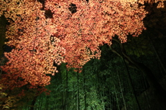 京都・北野天満宮