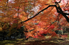 京都・宝厳寺