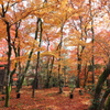 京都・宝厳寺