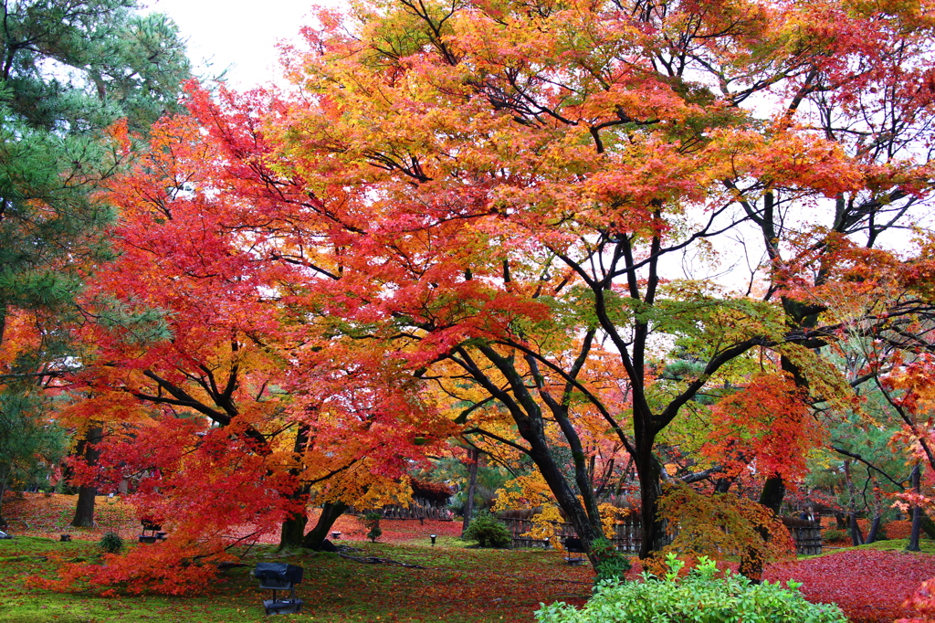 京都・宝厳寺