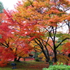 京都・宝厳寺