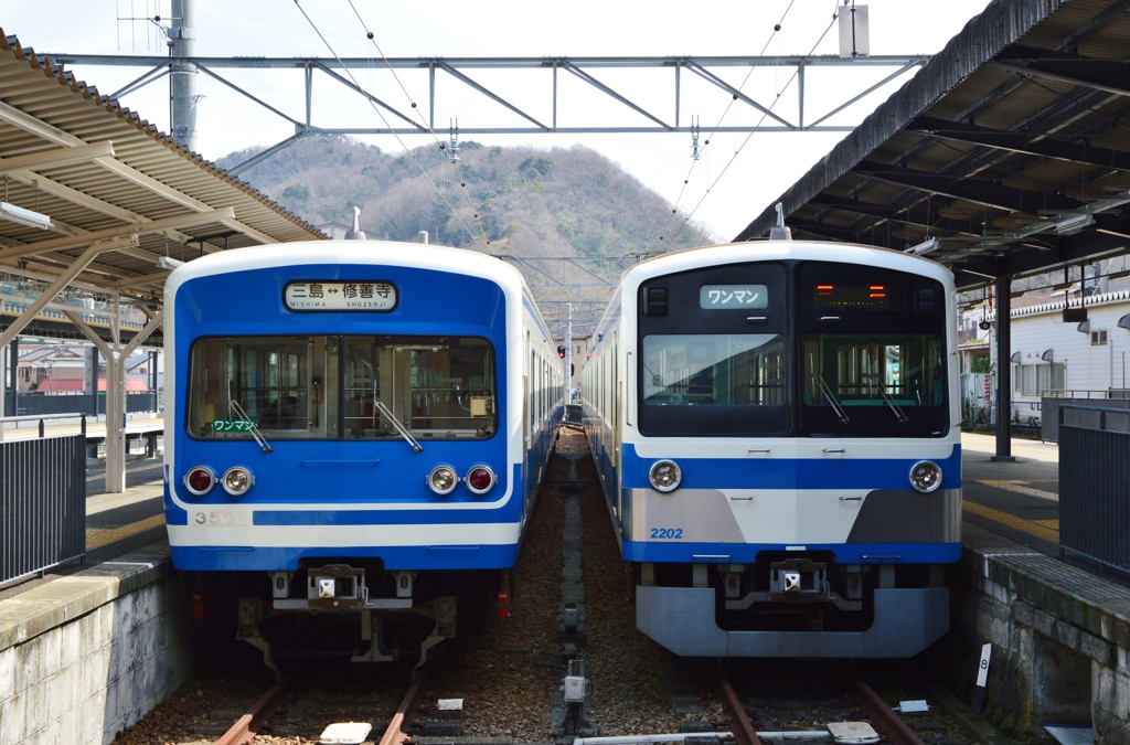 車両兄弟（伊豆箱根鉄道）