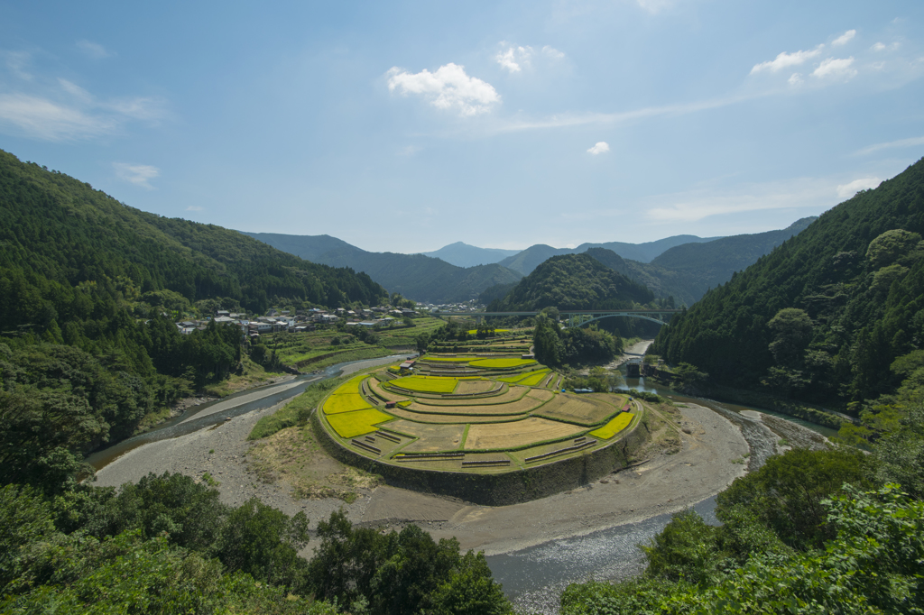 あらぎ島