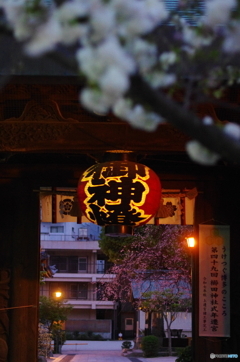 櫛田神社