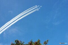 2019築城基地航空祭　ブルーインパルス