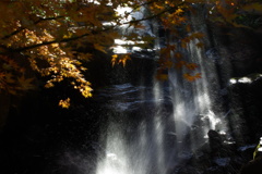 梅田スカイビル庭園