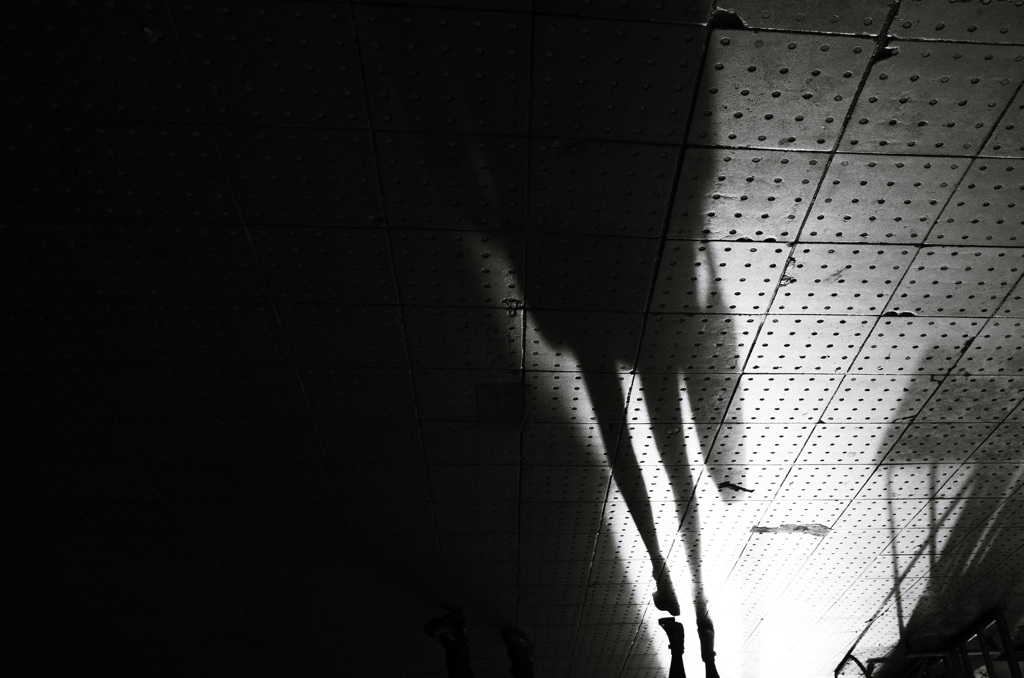 買い物帰りのshadow