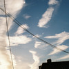 雲に追われる鳥と電線