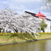 春の鶴岡公園