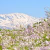 月山