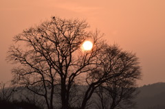 近所の夕焼け