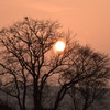 近所の夕焼け