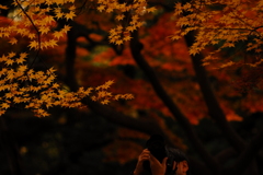 一写入魂