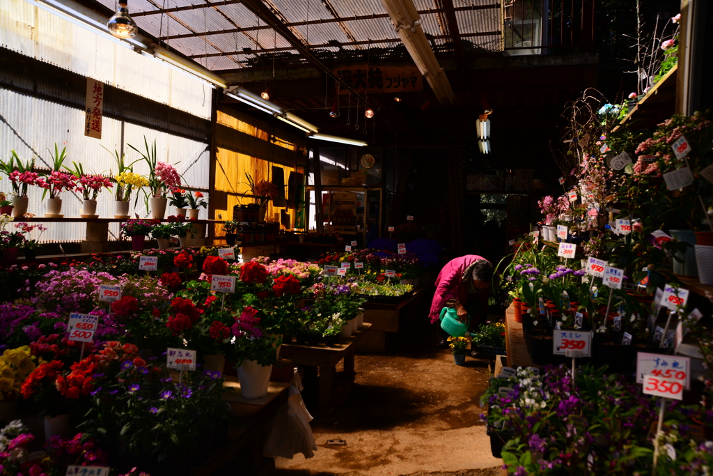 花屋の情景