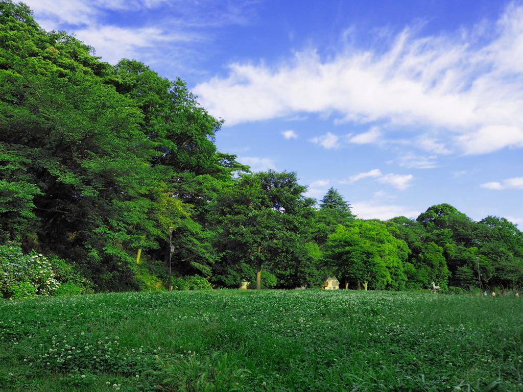 見慣れた公園