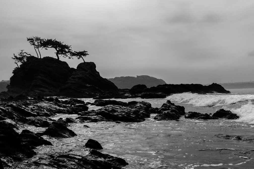 ある日の海