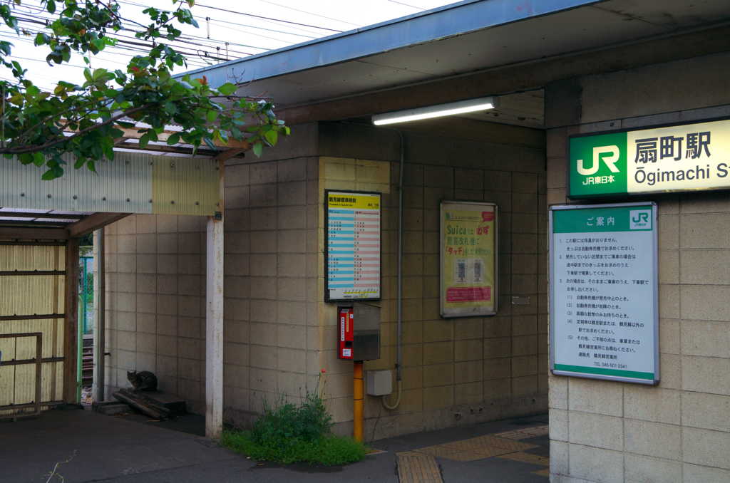 猫が居る駅