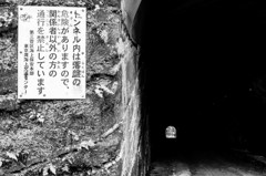 入る勇気は無い