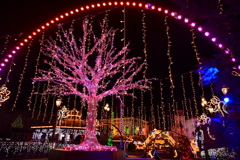 FeStA LuCe 2021