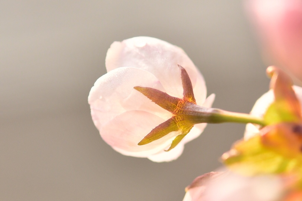 時には後ろ姿も