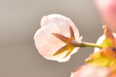 時には後ろ姿も