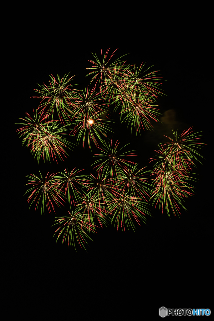 緑花繚乱