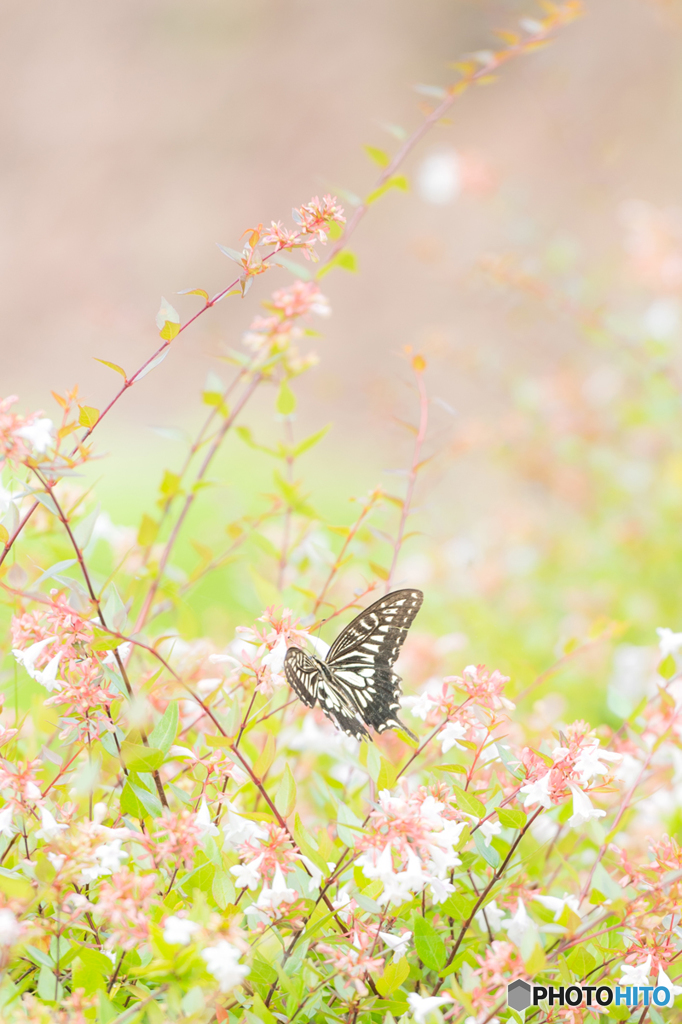 a break in the rainy season
