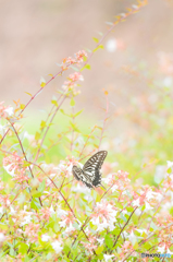 a break in the rainy season