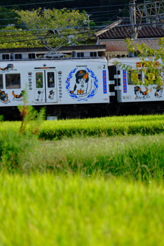 TAMADEN