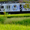 TAMADEN