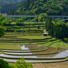 あらぎ島２