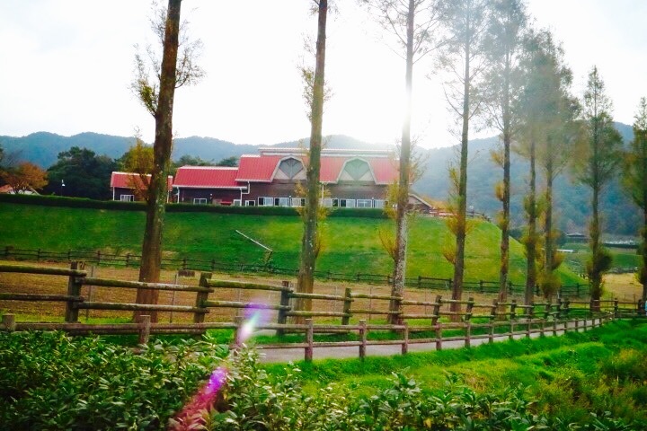 もーもーらんど