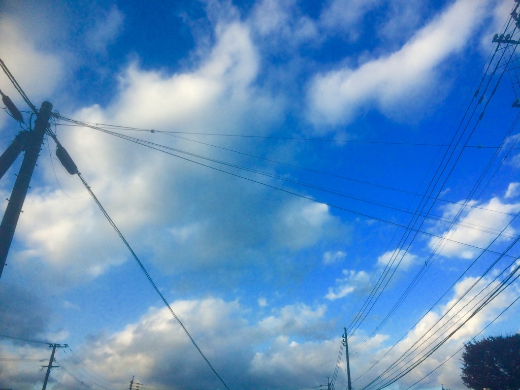 久しぶりに晴れた〜！